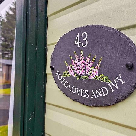 Foxgloves And Ivy Cockermouth Exterior foto